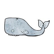 Cartoon Whale N118