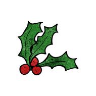 Cartoon Holly N26