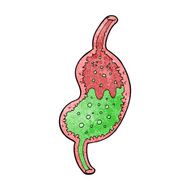cartoon bubbling stomach N14
