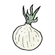 Cartoon Onion N20