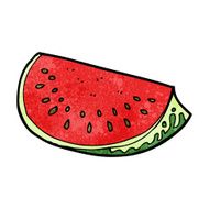 Cartoon Watermelon Slice N14