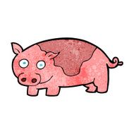 Cartoon Pig N76