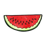 Cartoon Watermelon Slice N16