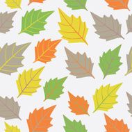 seamless pattern with leaf autumn N2