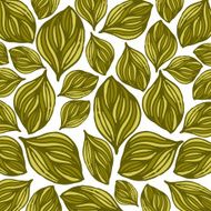 Flower background Floral vector card N4