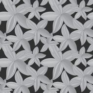 monochrome abstract background with flower and petals