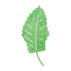 cartoon leaf symbol N61