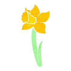 cartoon daffodil N14