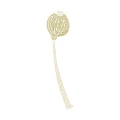 cartoon dried poppy N34