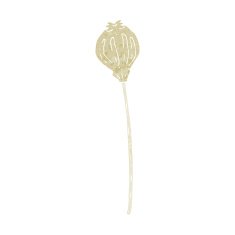 cartoon dried poppy N35