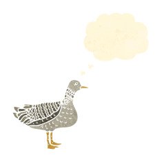 retro cartoon duck with thought bubble