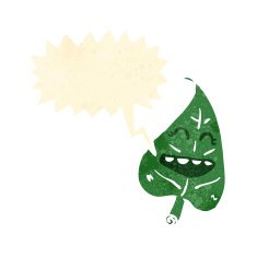 retro cartoon leaf with speech bubble N2