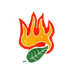 flaming leaf cartoon N2