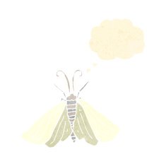 retro cartoon moth