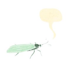 cartoon insect N11