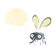 retro cartoon fly with thought bubble