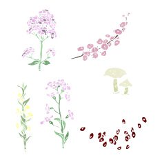 retro flowers illustration