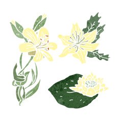 flowers retro illustration