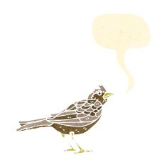bird retro illustration with speech bubble