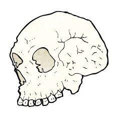 skull illustration N9