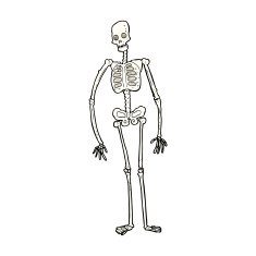 cartoon spooky skeleton N9