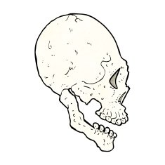 skull illustration N10
