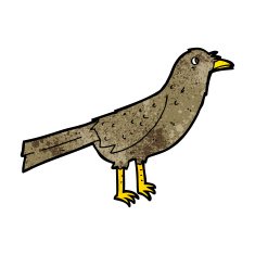 Cartoon Bird N501