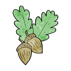 cartoon acorns N7