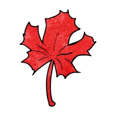 cartoon red maple leaf N6