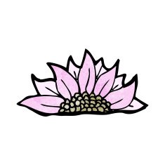 cartoon flower N565