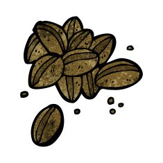 Cartoon Coffee Beans N31