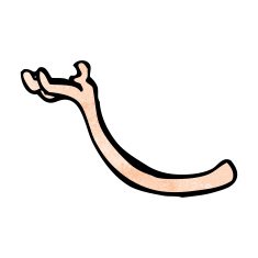 Cartoon Arm Holding Up N9