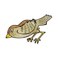 cartoon garden bird N51