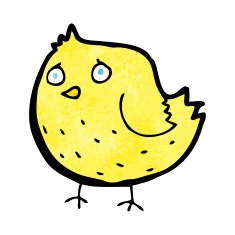 Cartoon Bird N508