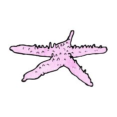 Cartoon Starfish N75