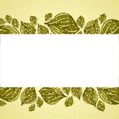 Flower background Floral vector card N6