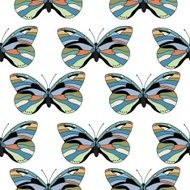 Butterfly seamless pattern N3