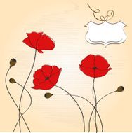 poppies floral background