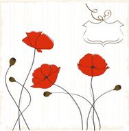 poppies floral background N2