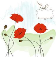 poppies floral background N3
