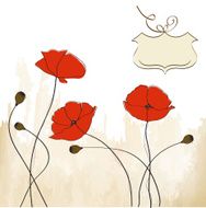 poppies floral background N4