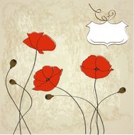 poppies floral background N5