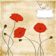 poppies floral background N6