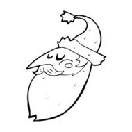 Cartoon Santa Face N17
