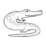 Cartoon Crocodile N109