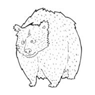 huge bear cartoon N4