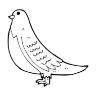 cartoon common bird N5