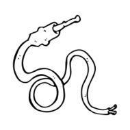 cartoon electrical lead N5