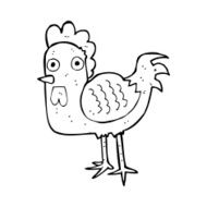 Cartoon Chicken N129