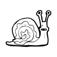Cartoon Snail N135